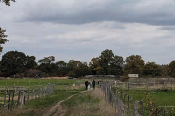 Hayes Farm 2